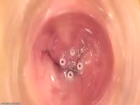 Incredible camera insertion video gives rare view of inside teenage girls shaved fuck hole